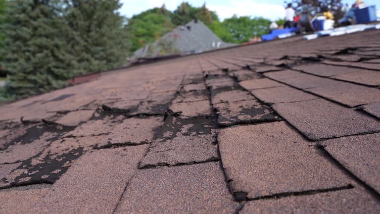 Best Steel Roofing  in Tecumseh, MI