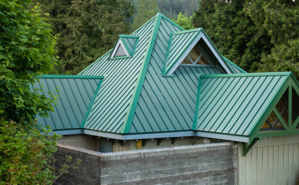 Best Skylight Installation and Repair  in Tecumseh, MI