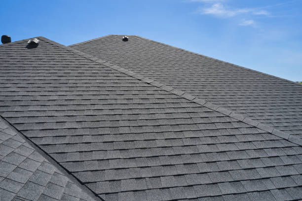 Best Roof Coating and Sealing  in Tecumseh, MI