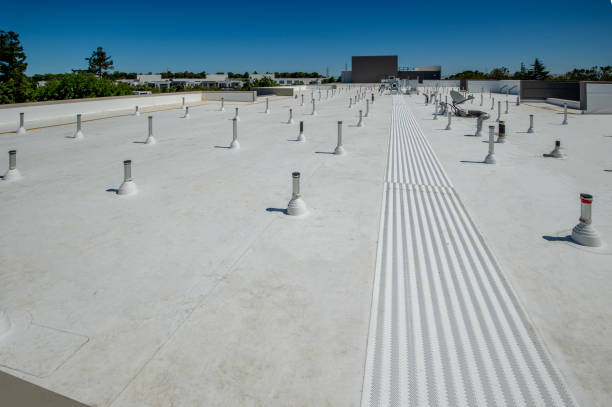 Best Flat Roofing  in Tecumseh, MI